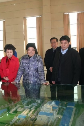 2011年12月14日，第十屆全國人大常委會副委員長顧秀蓮、中國石油和化學工業(yè)聯(lián)合會長李勇武等參加銅化集團成立20周年慶典，蒞臨公司視察。